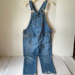 Isabel Maternity Women's Size 6 Overall  Raw hem